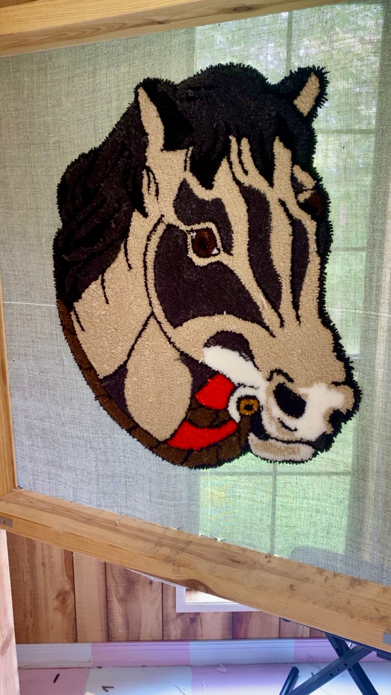 Horse Rug